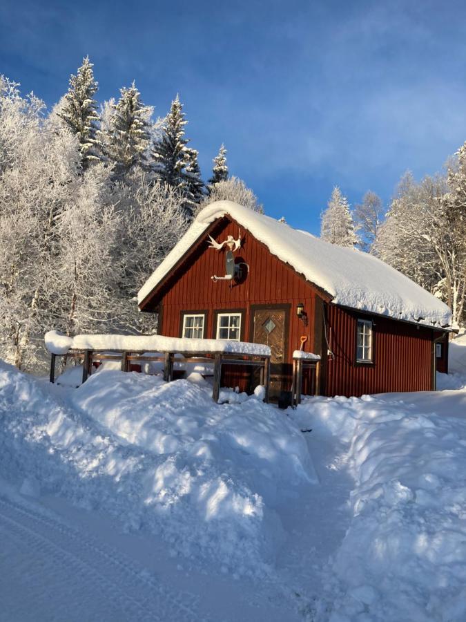 Valagardens Vaerdshus Och Camping Ab Vålådalen Eksteriør billede