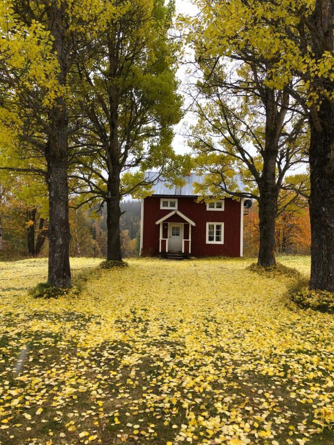 Valagardens Vaerdshus Och Camping Ab Vålådalen Eksteriør billede