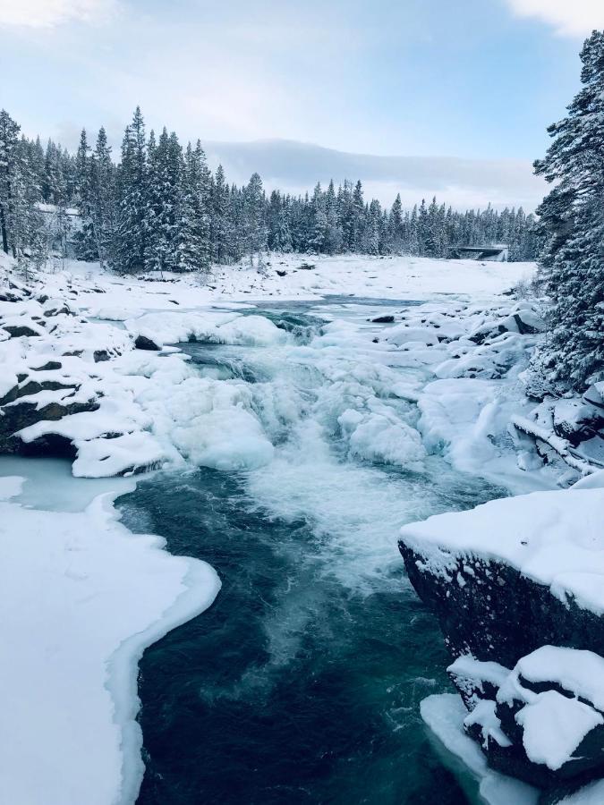 Valagardens Vaerdshus Och Camping Ab Vålådalen Eksteriør billede