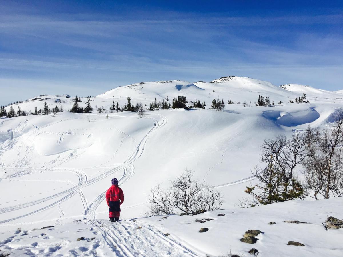 Valagardens Vaerdshus Och Camping Ab Vålådalen Eksteriør billede