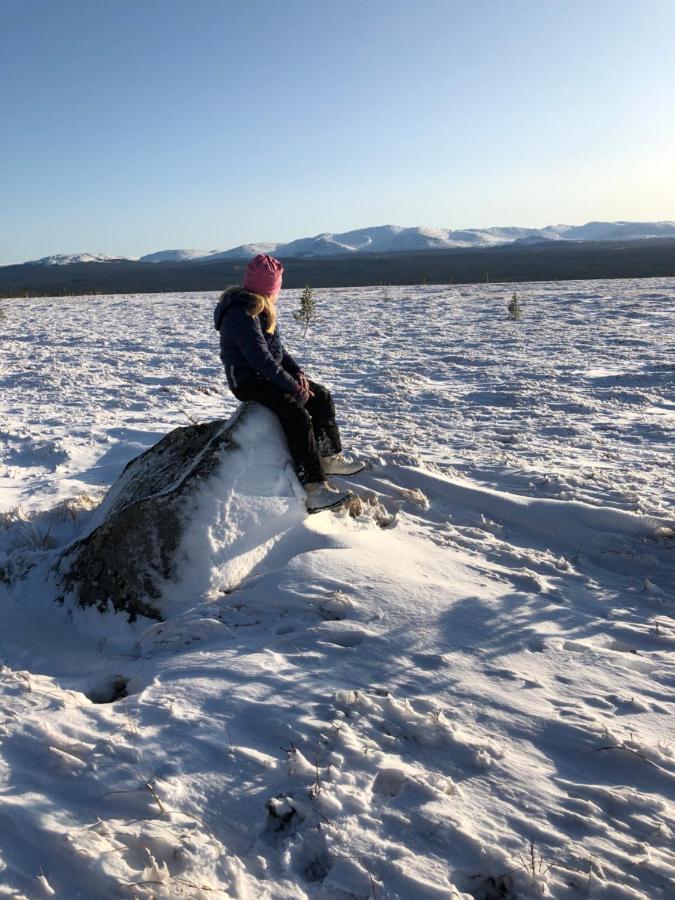 Valagardens Vaerdshus Och Camping Ab Vålådalen Eksteriør billede